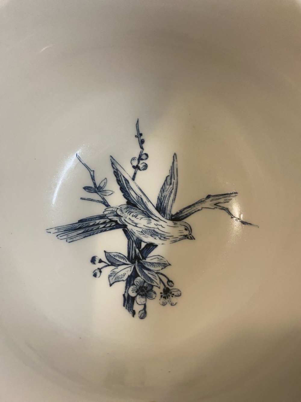 222 Fifth Adelaide porcelain bowls-2